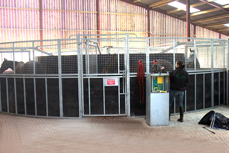 Equestrian training facilities