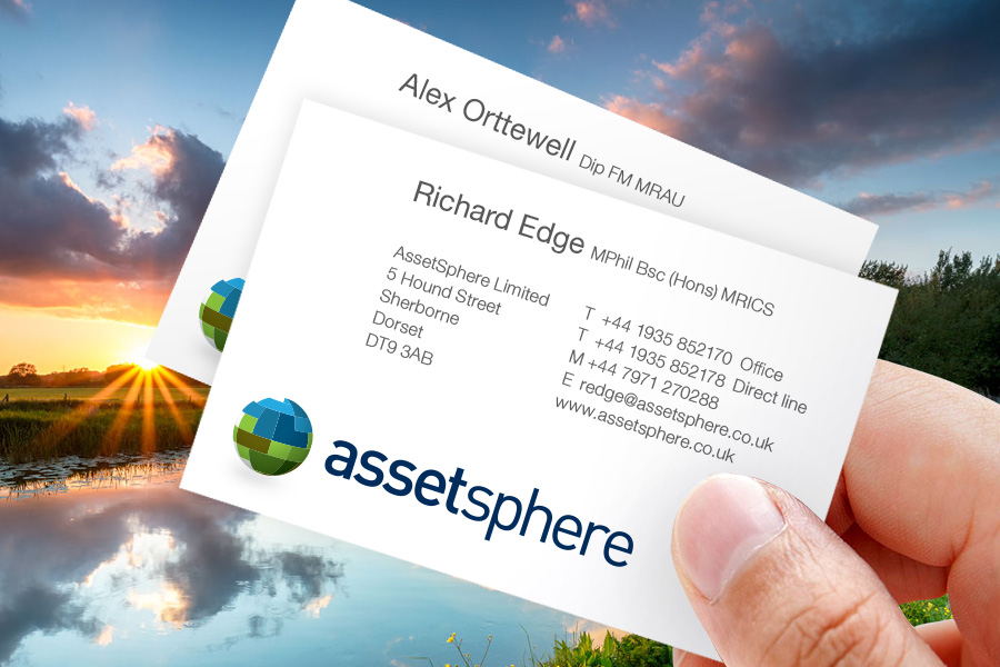 AssetSphere logo and business cards