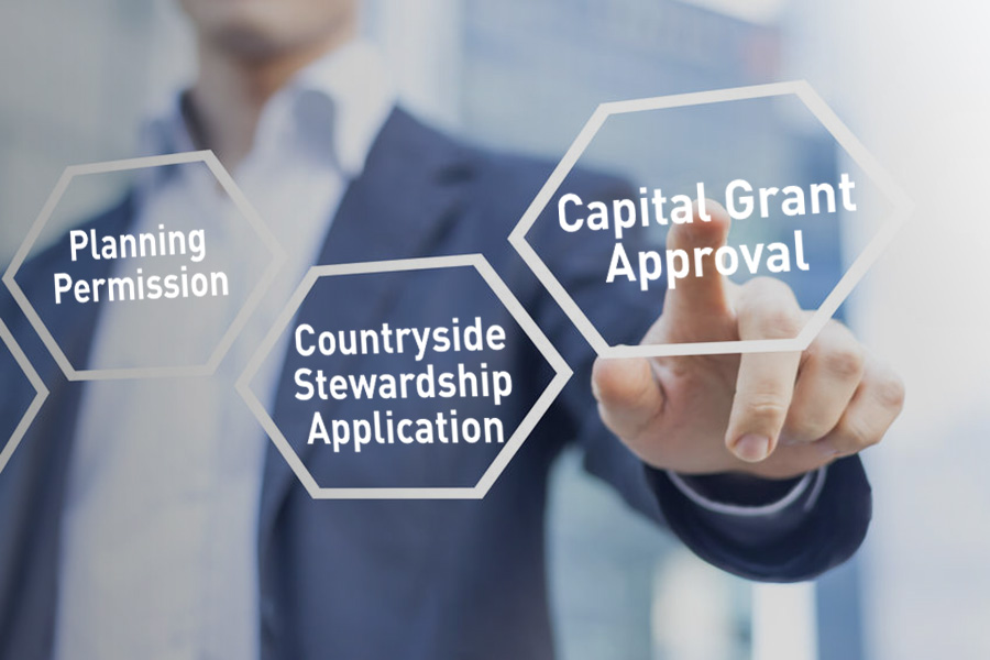 Capital Grant Approval