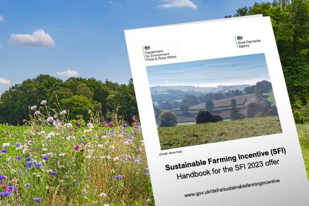 Sustainable Farming Incentive (SFI) 2023 handbook