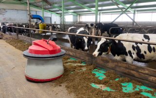 Technology for productivity: a robot feed pusher
