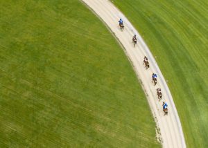 Racehorses on rural gallops.