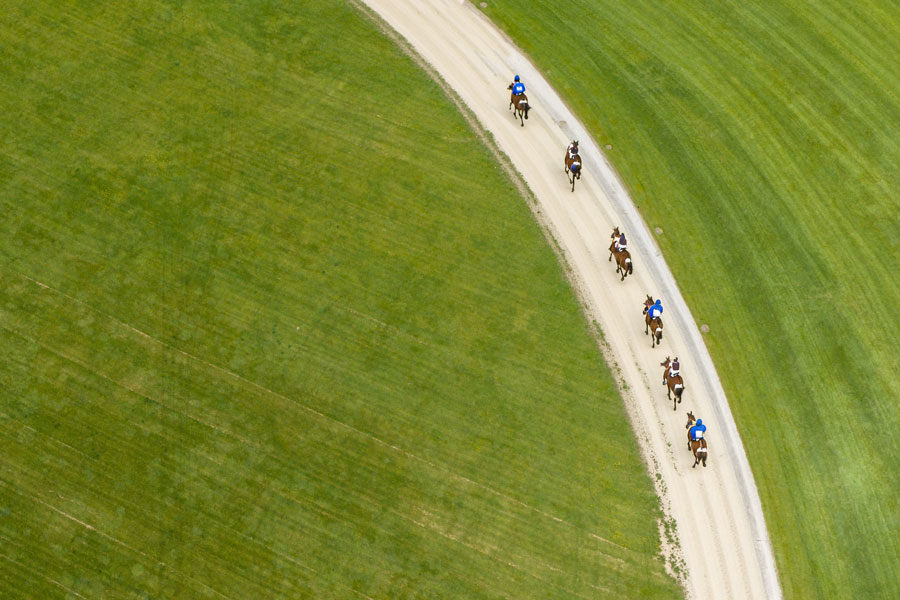 Racehorses on rural gallops.